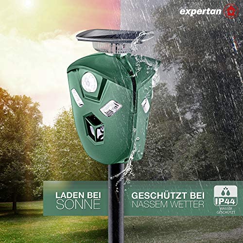 Expertan® Katzenschreck für Garten Ultraschall